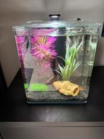 dennerle nano cube 30l met oase bioplus 100, Dieren en Toebehoren, Vissen | Aquaria en Toebehoren, Ophalen of Verzenden, Zo goed als nieuw