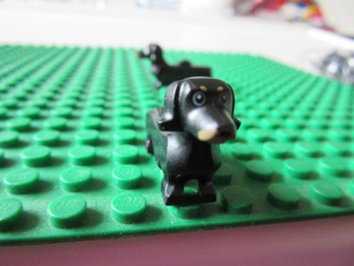 L313 LEGO DIEREN NIEUW HOND TECKEL ZWART 53075pb02, Kinderen en Baby's, Speelgoed | Duplo en Lego, Nieuw, Lego, Losse stenen, Ophalen of Verzenden