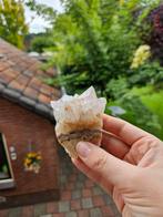 Citrien Kwartscluster - Licht Roze/Paars, Ophalen of Verzenden