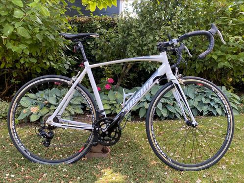 Stokvis Pursuit Racefiets met Shimano en onderhoudsbeurt., Fietsen en Brommers, Fietsen | Racefietsen, Zo goed als nieuw, Overige merken