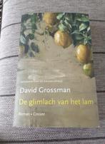 Boek van David Grossman, Ophalen of Verzenden, Gelezen