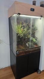 Groot Paludarium, Dieren en Toebehoren, Reptielen en Amfibieën | Toebehoren, Ophalen, Zo goed als nieuw, Terrarium of Paludarium