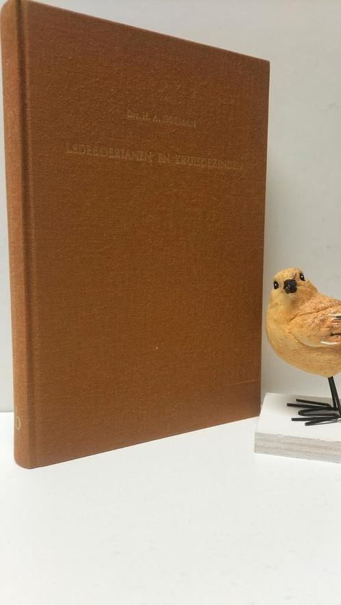 Hofman, Drs. H.; Ledeboerianen en kruisgezinden, Boeken, Godsdienst en Theologie, Gelezen, Christendom | Protestants, Ophalen of Verzenden