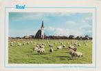P736 oude ansichtkaart texel kerkje den hoorn waddeneiland, Ophalen of Verzenden, 1980 tot heden, Gelopen, Noord-Brabant