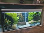 Aquarium 600 liter, Dieren en Toebehoren, Vissen | Aquaria en Toebehoren, Ophalen, Gebruikt, Leeg aquarium