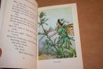 Flower Fairies of the Wayside - Cicely Mary Barker, Ophalen of Verzenden, Gelezen