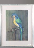 L. Haver Papegaai pasteltekening 47 x 36 cm 1929, Ophalen