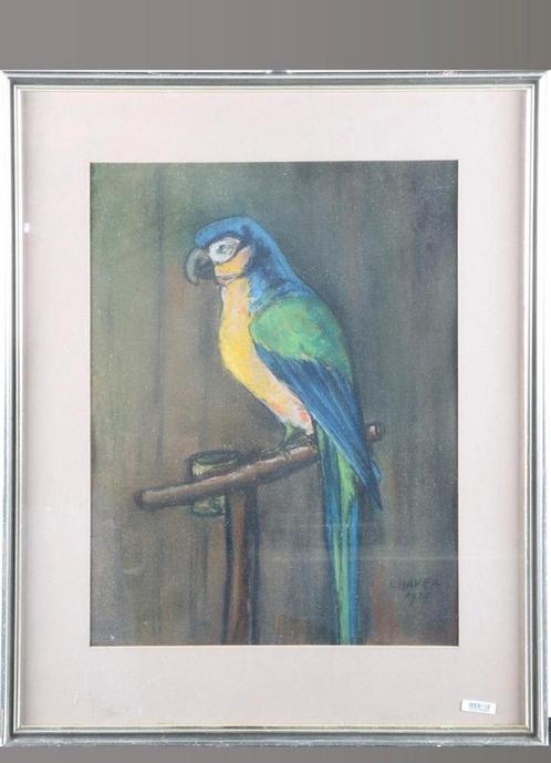 L. Haver Papegaai pasteltekening 47 x 36 cm 1929, Antiek en Kunst, Kunst | Schilderijen | Klassiek, Ophalen