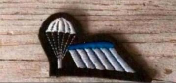 Para-Wing B brevet Halve Nederlands Blauw op Bruin beschikbaar voor biedingen