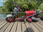 Honda zoomer custom, Fietsen en Brommers, Brommers | Honda, Ophalen, Overige modellen