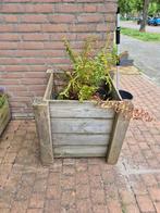 Houten plantenbak, Tuin en Terras, Bloembakken en Plantenbakken, Ophalen, Gebruikt, Hout