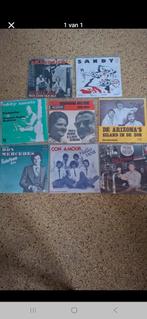 Piraten single.s, Ophalen of Verzenden, Zo goed als nieuw, Overige formaten, Levenslied of Smartlap