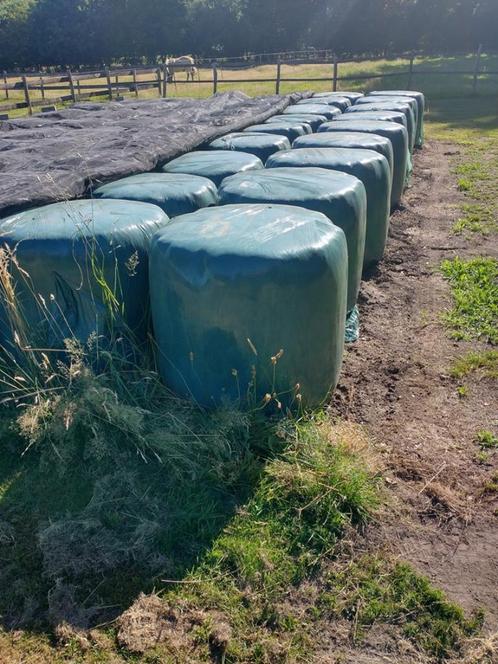 Te koop: MIDI-hooibalen (Paard/Pony), Dieren en Toebehoren, Paarden en Pony's | Overige Paardenspullen, Overige soorten, Ophalen