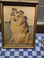 Vintage schilderij Collie, Lassie, Ophalen of Verzenden, Zo goed als nieuw, Opgezet dier