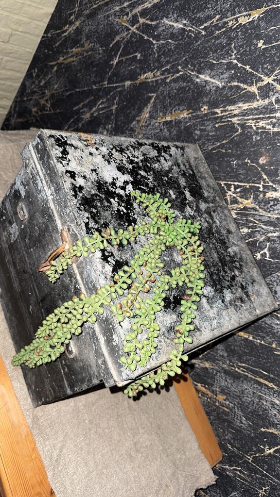 Opbergkist/ decoratiekist, Doe-het-zelf en Verbouw, Metselstenen, Zo goed als nieuw, Ophalen