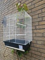 vogelkooi kooi volière vogel, Dieren en Toebehoren