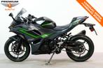 Kawasaki NINJA 500 SE PERFORMANCE (bj 2024), Motoren, Bedrijf, Sport, 451 cc, 12 t/m 35 kW