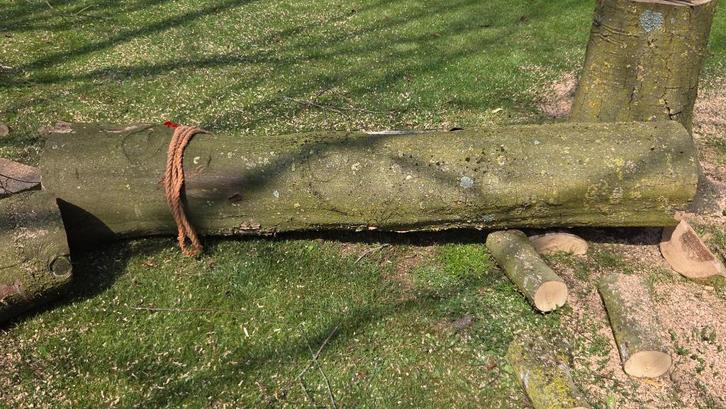 Beuken hakblok op maat gezaagd , kloofblok , spijkerblok, Tuin en Terras, Haardhout, Blokken, Overige houtsoorten, Minder dan 3 m³
