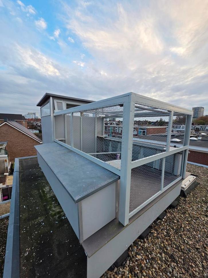 Duiventil trespa, Dieren en Toebehoren, Vogels | Duiven, Kropper, Geslacht onbekend