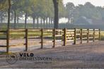 Omheining, Paddock, Weide, Rijbak, Longeercirkel, Weidegang, Sales@veldomheiningen.nl, Schaijk, 4 paarden of pony's of meer