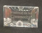 Swarovski plaquette Community, Ophalen of Verzenden, Zo goed als nieuw, Figuurtje
