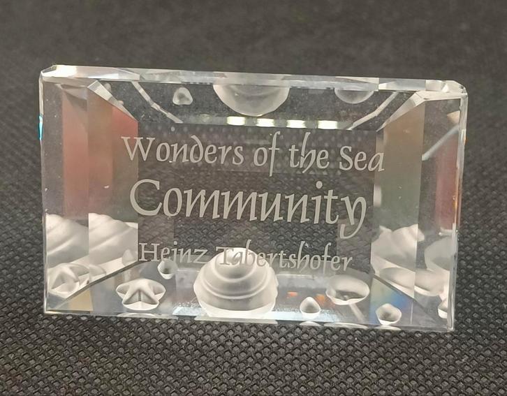 Swarovski plaquette Community, Verzamelen, Swarovski, Zo goed als nieuw, Figuurtje, Ophalen of Verzenden