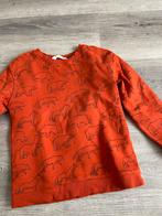 H&M Trui met dierenprint - Maat 134/140, Ophalen, Jongen of Meisje, Trui of Vest, H&M