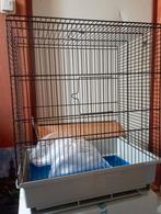 vogelkooitje, Dieren en Toebehoren, Ophalen, Nieuw, Metaal, Vogelkooi