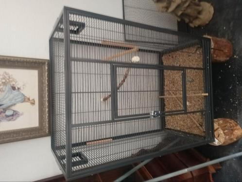 Te koop volière, Dieren en Toebehoren, Vogels | Hokken en Kooien, Zo goed als nieuw, Volière, Ophalen of Verzenden