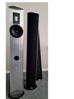Piega P4L Set Actieve Luidsprekers, Zo goed als nieuw, 60 tot 120 watt, Front, Rear of Stereo speakers, Ophalen