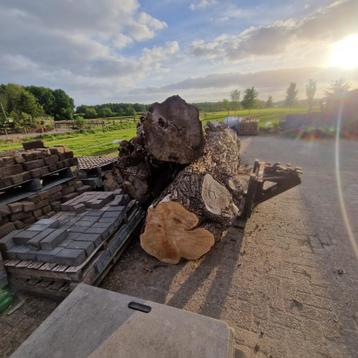 Boomstammen.  Openhaardhout. Haardhout  beschikbaar voor biedingen