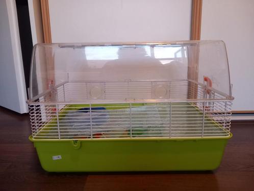 Hamsterkooi 3 Verdiepingen 55x40x40, Dieren en Toebehoren, Knaagdieren en Konijnen | Hokken en Kooien, Gebruikt, Kooi, Minder dan 60 cm