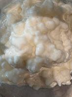 Melk kefir vers, 75 gram melkkefir, Ophalen of Verzenden