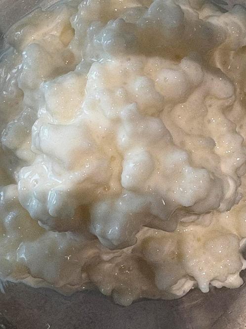Melk kefir vers, 75 gram melkkefir, Diversen, Levensmiddelen, Ophalen of Verzenden