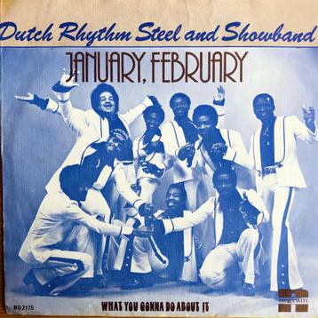 1976 Dutch Rhythm Steel & Showband         January, February beschikbaar voor biedingen