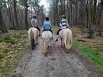 Verzorgpony aangeboden/ bijrijder gezocht, Dieren en Toebehoren, Paarden en Pony's | Verzorgingsproducten, Ophalen, Nieuw