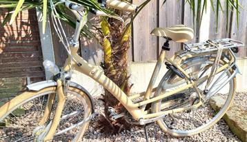 Nette Batavus Mambo Fiets beschikbaar voor biedingen
