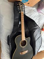 Washburn gitaar, Ophalen of Verzenden, Zo goed als nieuw, Western- of Steelstringgitaar