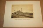 Antieke prent/foto Strokartonfabriek Eendracht Appingedam !!, Verzamelen, Ophalen of Verzenden, Voor 1940, Gebruikt