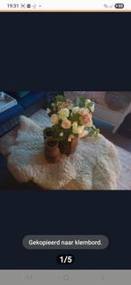 Echte Schapenvacht - Vloerkleed/Decoratie, 50 tot 100 cm, Crème, Overige vormen, 50 tot 100 cm