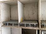 4 dubbele broedbakken, Geslacht onbekend, Overige soorten