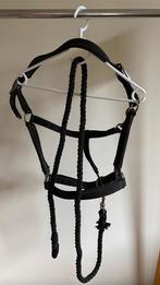 Halster met halstertouw voor paard zwart, Ophalen of Verzenden, Gebruikt, Overige soorten
