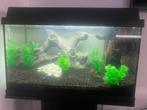 Compleet aquarium incl inrichting, Dieren en Toebehoren, Ophalen, Zo goed als nieuw, Leeg aquarium