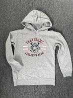 5 hoodies maat 134, Ophalen of Verzenden, Zo goed als nieuw, Meisje, Trui of Vest