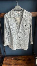 Blouse blauw met klein bloemetje. Paprika mt 44, Kleding | Dames, Grote Maten, Ophalen of Verzenden, Zo goed als nieuw, Blauw