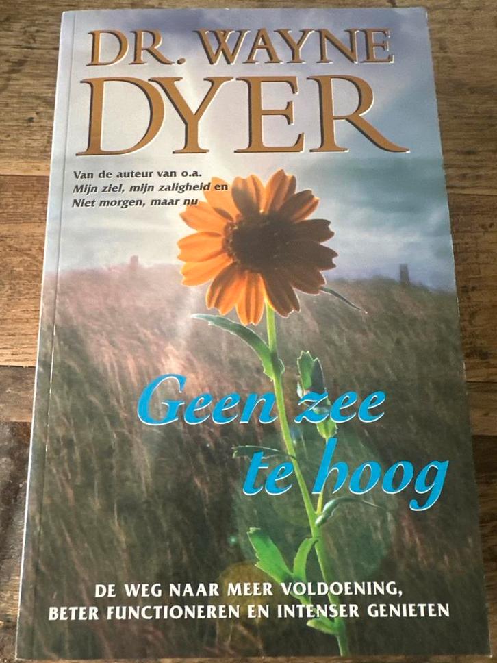 Geen Zee te Hoog - Wayne Dyer, Boeken, Esoterie en Spiritualiteit, Zo goed als nieuw, Achtergrond en Informatie, Spiritualiteit algemeen