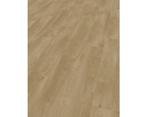 GEZOCHT!! ; Skandor 8.0 shell oak, Ophalen, 50 tot 150 cm, Zo goed als nieuw, 10 tot 30 cm