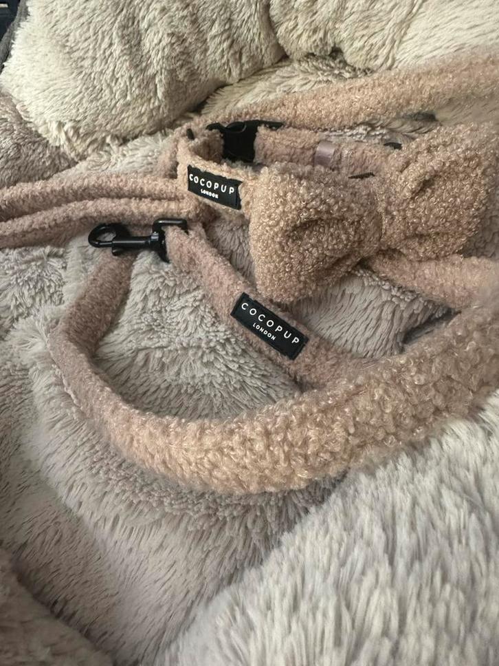 Waanzinnig teddy halsband+ lijn van cocopup London, Dieren en Toebehoren, Hondenriemen, Zo goed als nieuw, Ophalen of Verzenden