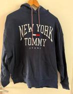 Tommy Hilfiger trui maat L GOED LEZEN, Ophalen of Verzenden, Zo goed als nieuw, Blauw