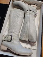 Lichtgrijze dameslaars maat 38,5 van Robert d'Angelo, Kleding | Dames, Schoenen, Ophalen, Hoge laarzen, Roberto d'Angelo, Grijs